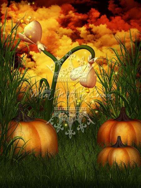 fairy autumn backgrounds